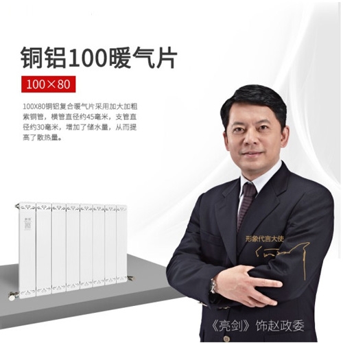 銅鋁復(fù)合100×80散熱器