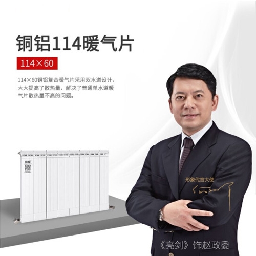 銅鋁復(fù)合114×60散熱器